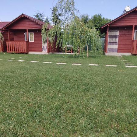 Casutele Deltei Hotell Mahmudia Exteriör bild