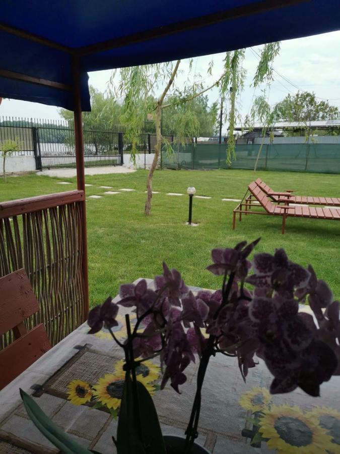 Casutele Deltei Hotell Mahmudia Exteriör bild